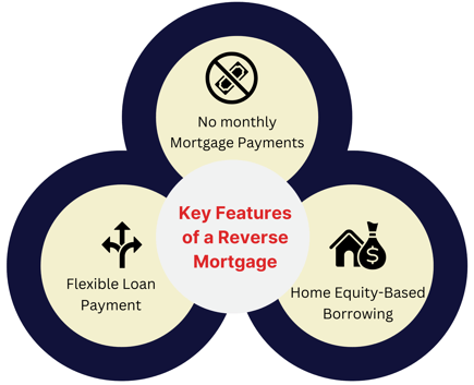 infographic showing key features of a reverse mortgage 